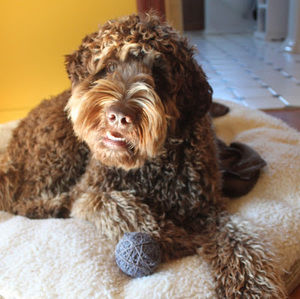 Meet your Posher, Katherine